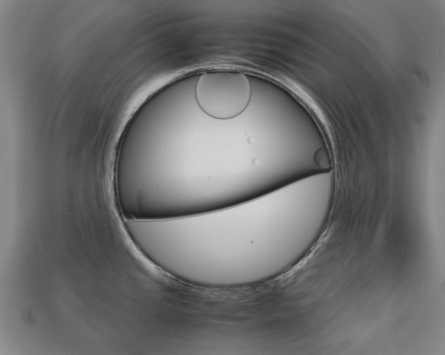 X0000113781437200909231032