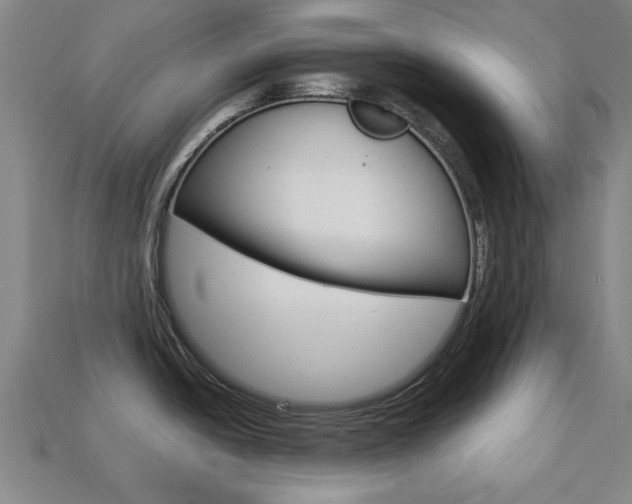 X0000113781438200909231032