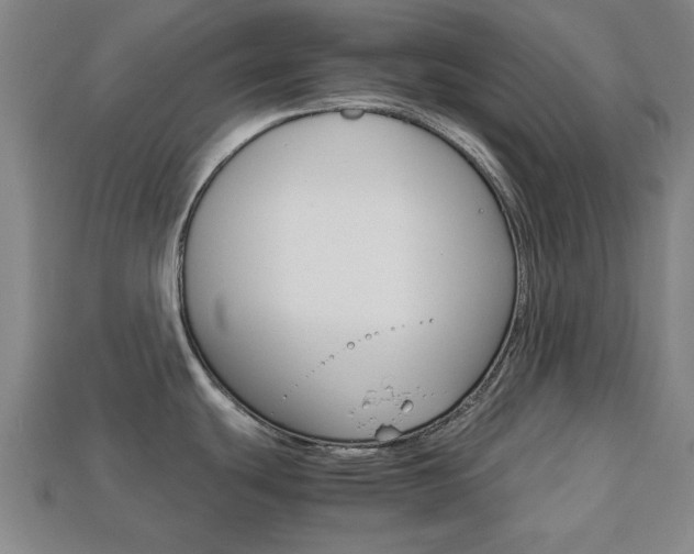 X0000113781439200909231032