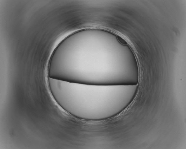 X0000113781440200909231032