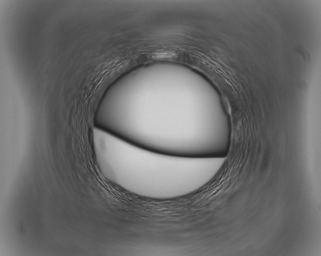 X0000113781441200909231031