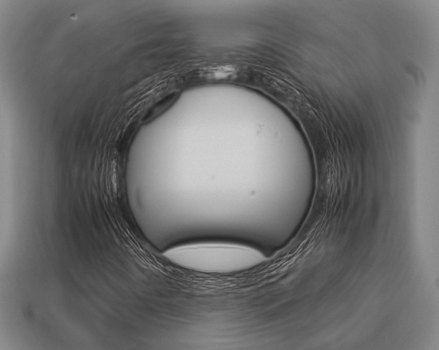 X0000113781442200909231031