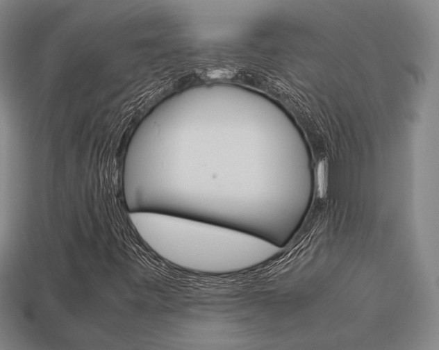 X0000113781443200909231031