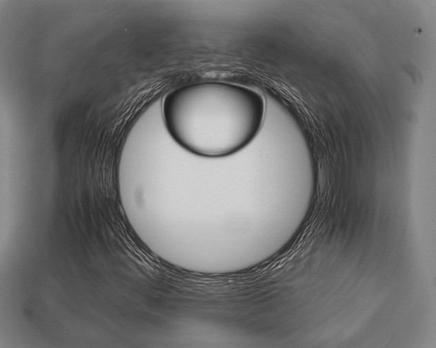 X0000113781444200909231031