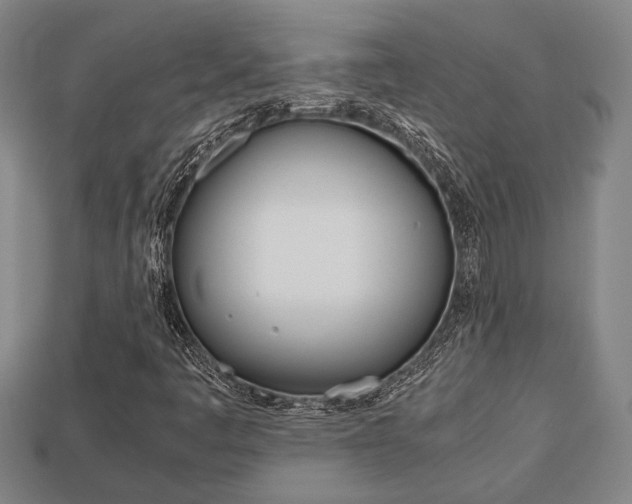X0000113781445200909231031