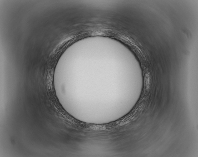 X0000113781446200909231031