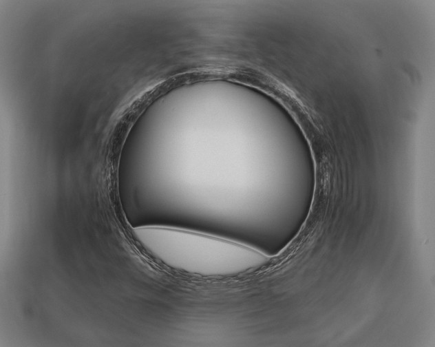X0000113781448200909231031
