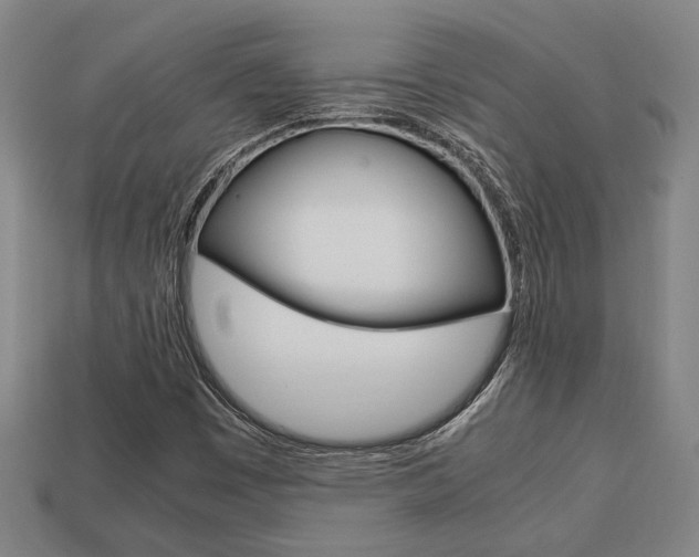 X0000113781449200909231031