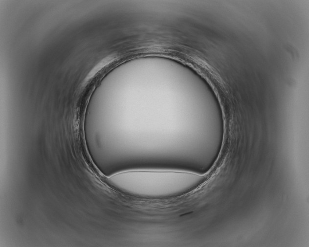 X0000113781450200909231031