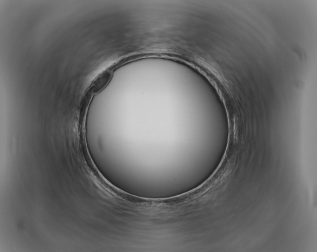 X0000113781452200909231031