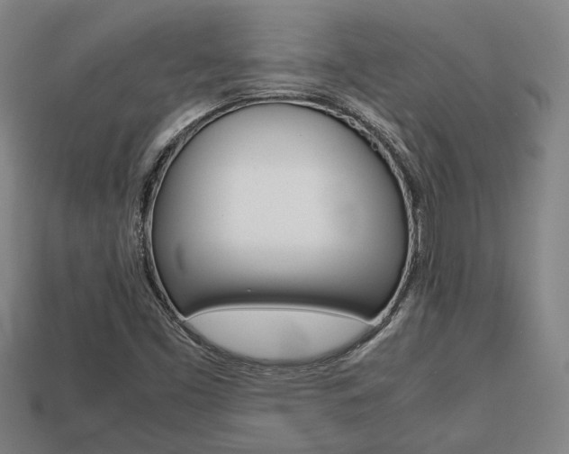 X0000113781453200909231031