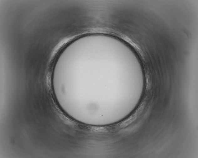 X0000113781454200909231031