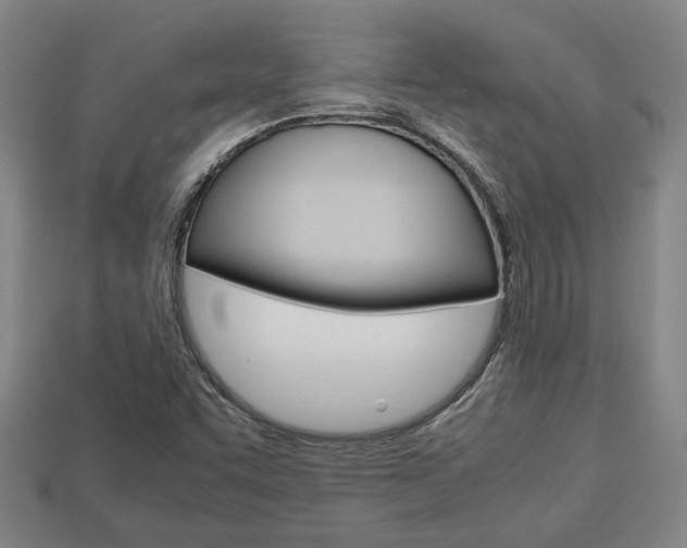 X0000113781455200909231031