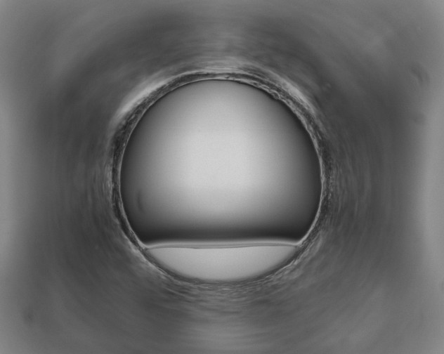 X0000113781456200909231031