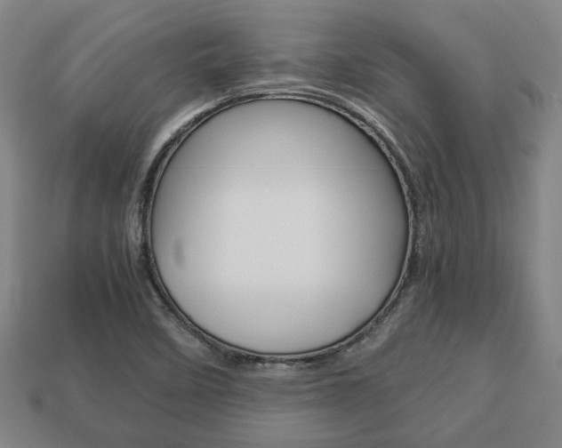 X0000113781458200909231031
