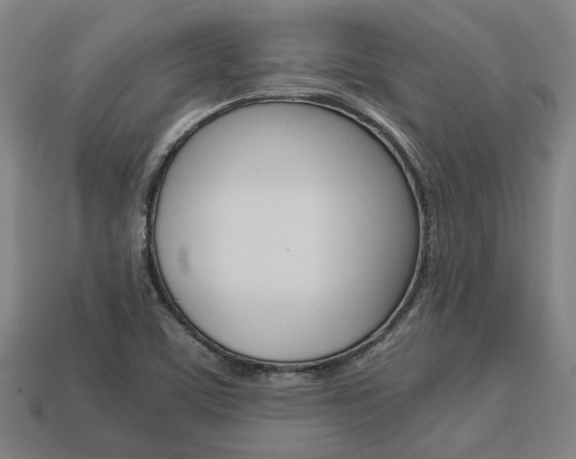 X0000113781459200909231031