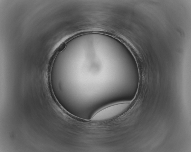 X0000113781460200909231031