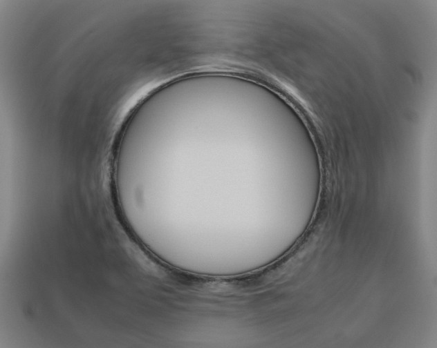 X0000113781463200909231031