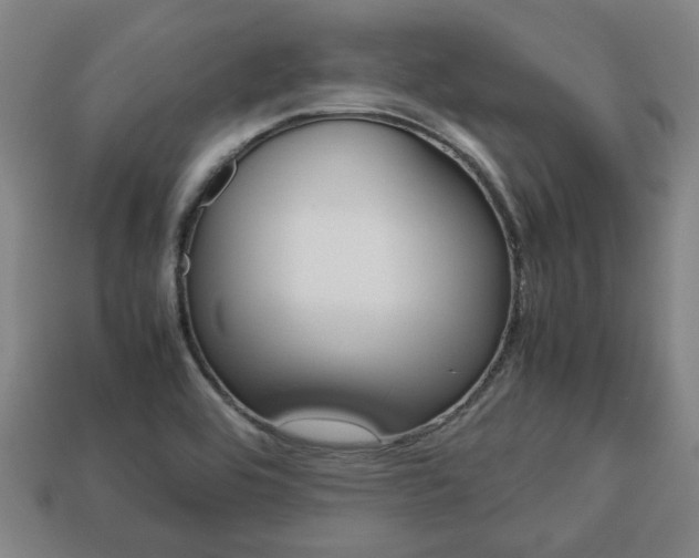 X0000113781464200909231031