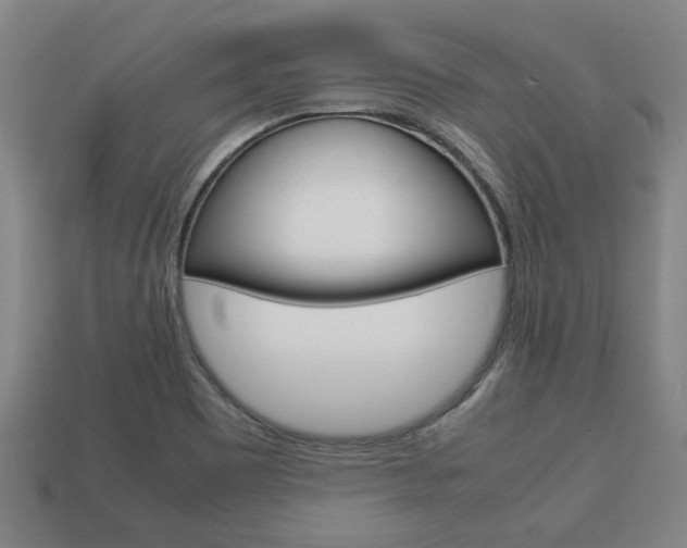 X0000113781465200909231031