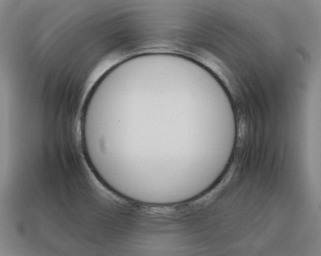 X0000113781466200909231031