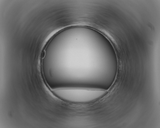 X0000113781468200909231031