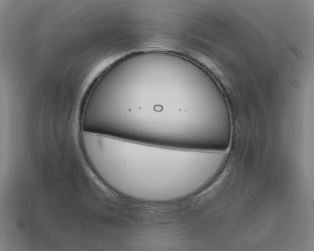X0000113781469200909231031
