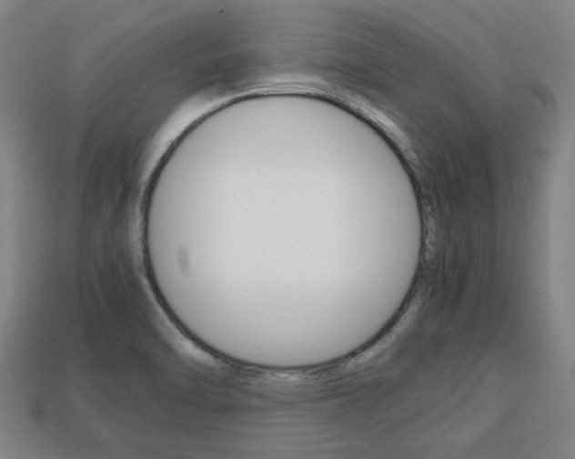 X0000113781470200909231031