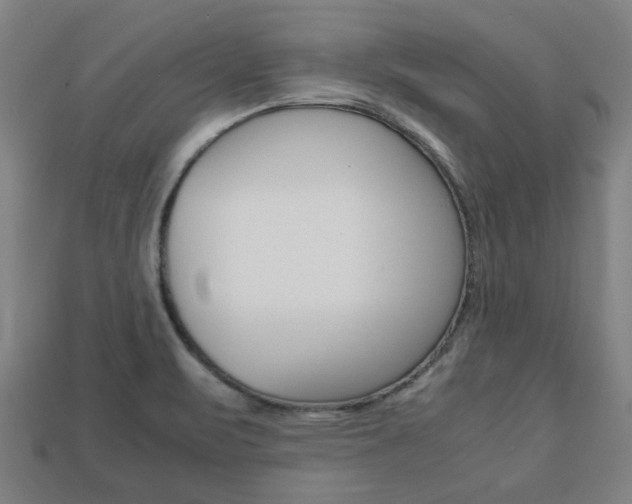 X0000113781471200909231031