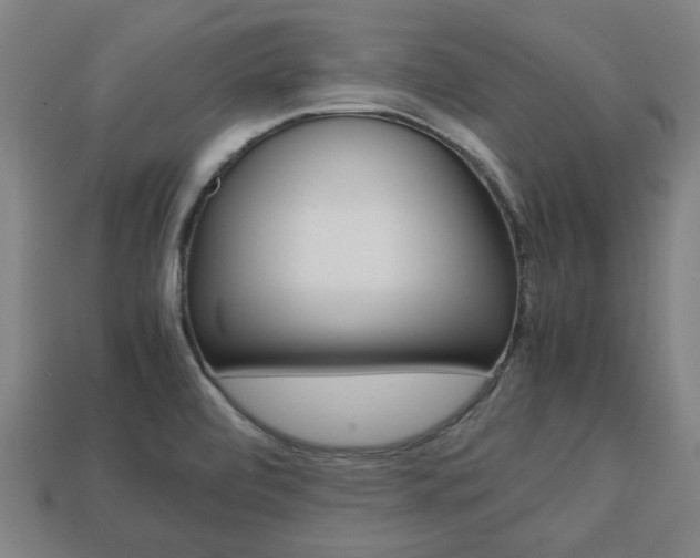 X0000113781472200909231031