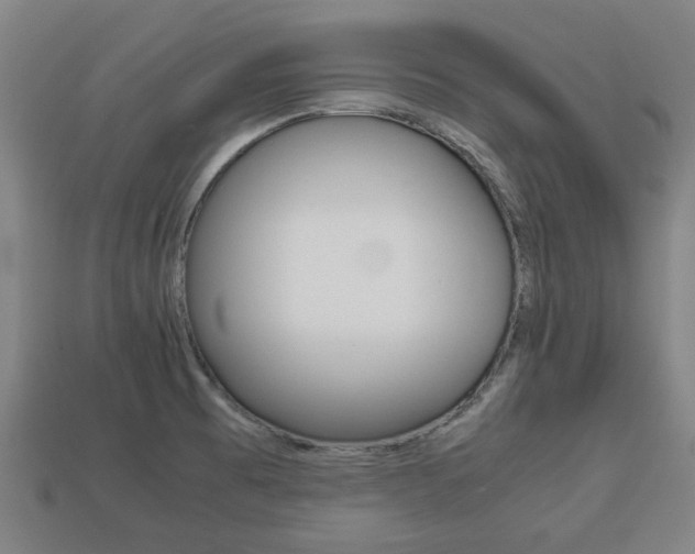 X0000113781473200909231031
