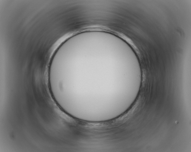 X0000113781474200909231031