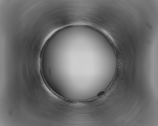 X0000113781476200909231031