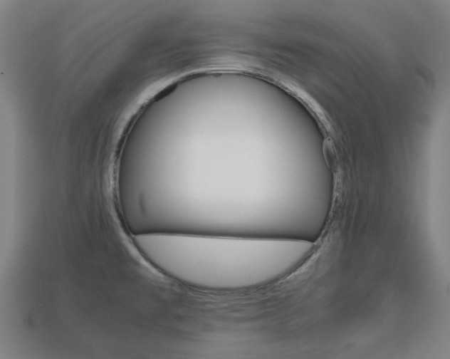 X0000113781477200909231031