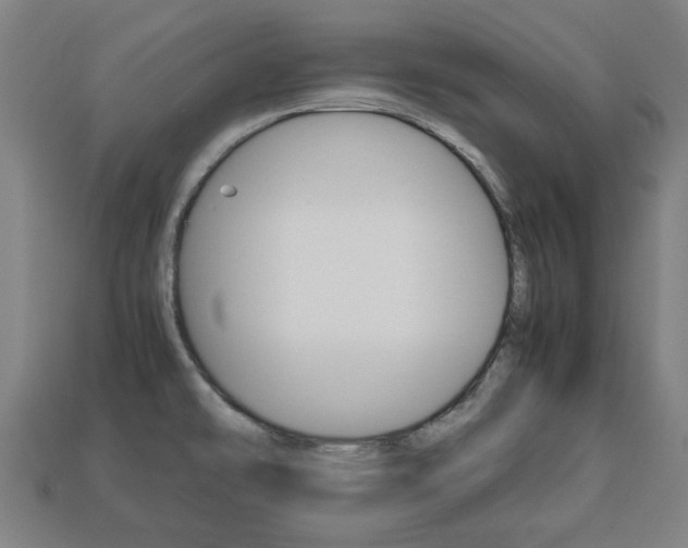 X0000113781478200909231031