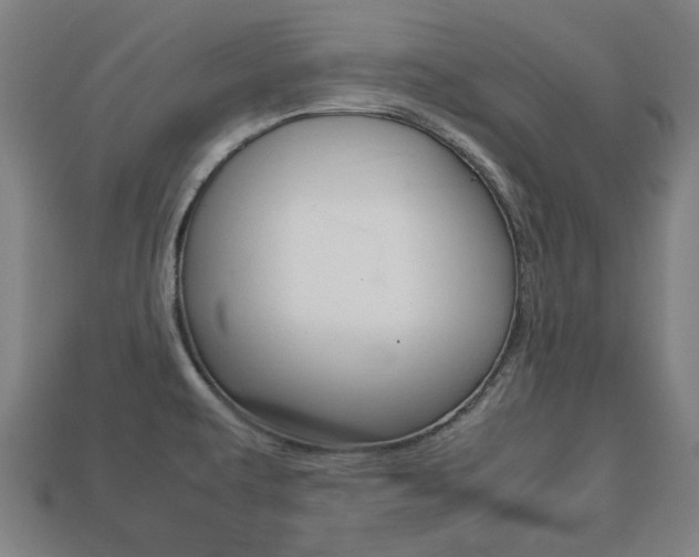 X0000113781479200909231031