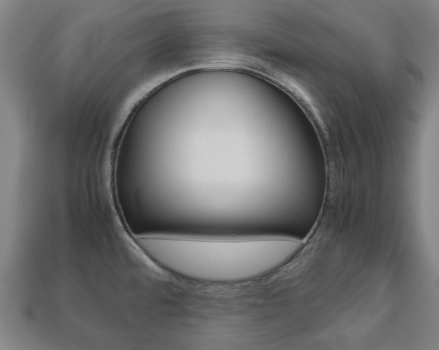 X0000113781480200909231031