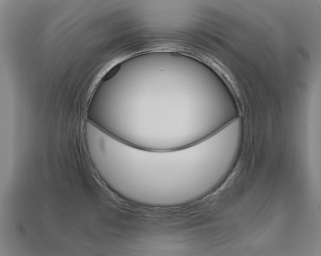 X0000113781481200909231031