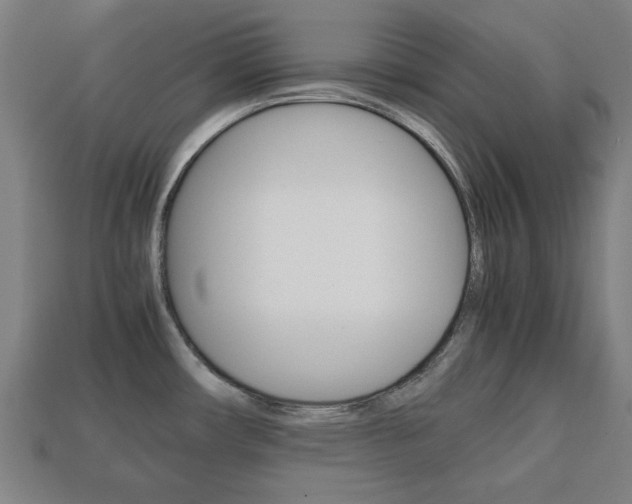 X0000113781482200909231031