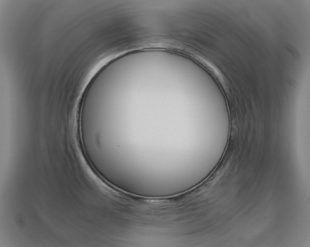 X0000113781483200909231031