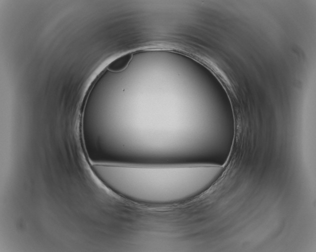 X0000113781484200909231031