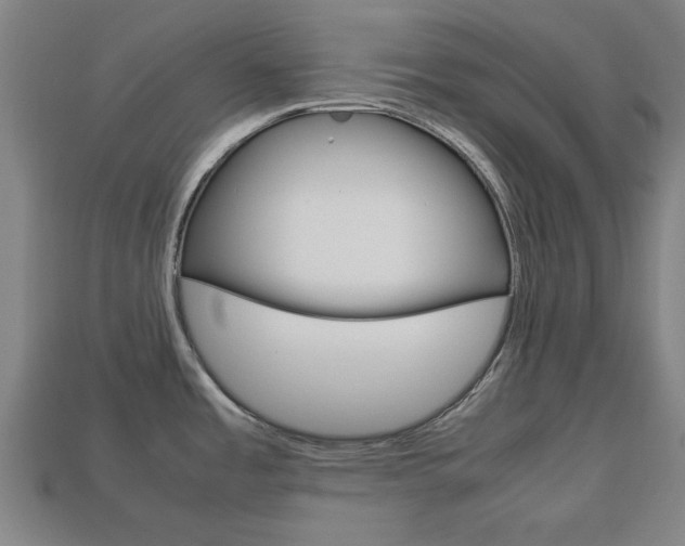 X0000113781485200909231031