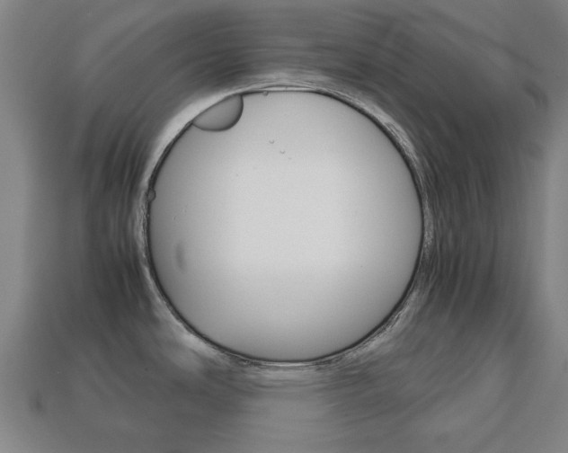 X0000113781486200909231031