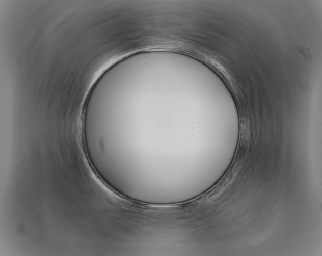 X0000113781487200909231031