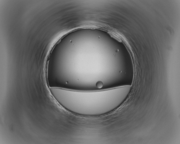 X0000113781488200909231031