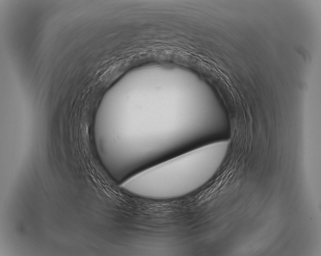 X0000113781489200909231030