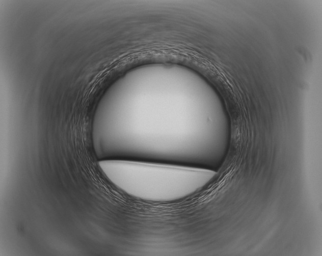 X0000113781490200909231030