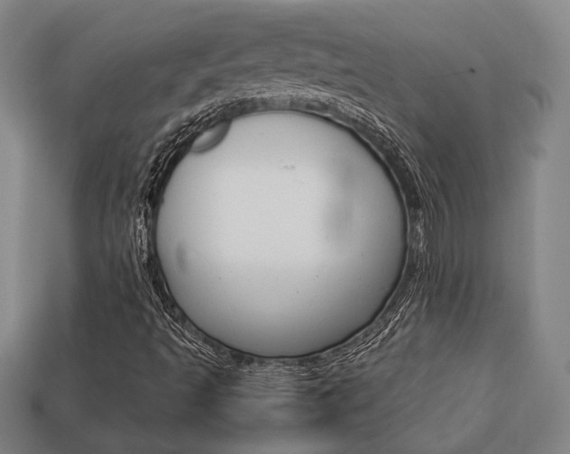 X0000113781493200909231030