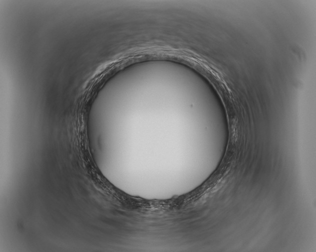 X0000113781494200909231030