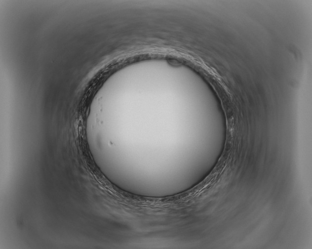X0000113781495200909231030